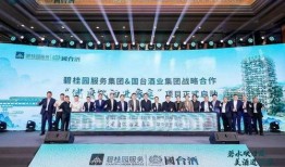 碧桂园国台酒最新爆料,揭秘高端白酒市场新篇章