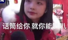 天涯爆料王冰冰视频合集,天涯爆料视频合集深度解析